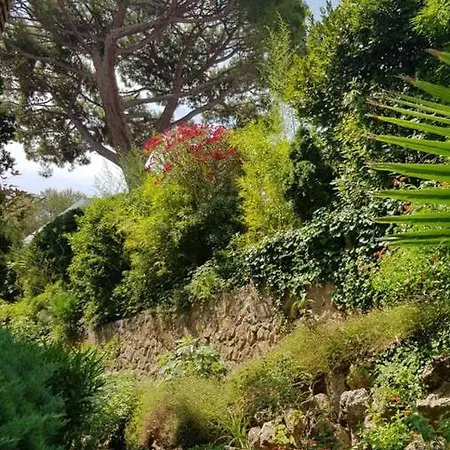 Perle Turquoise Antibes